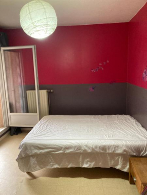 Chambre chez l'habitant à Lyon Centre